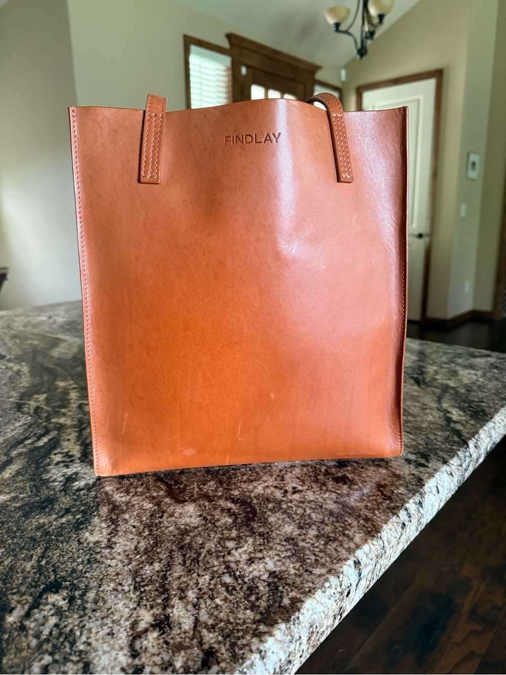 Findlay Leather Tote in Cognac Brown